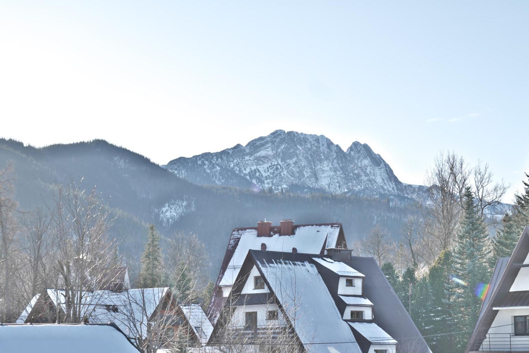 Willa Cicha Zakopane Exterior foto